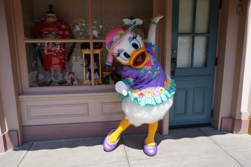 f:id:happiest_holidays:20180605165441j:plain f:id:happiest_holidays:20180605165441j:plain