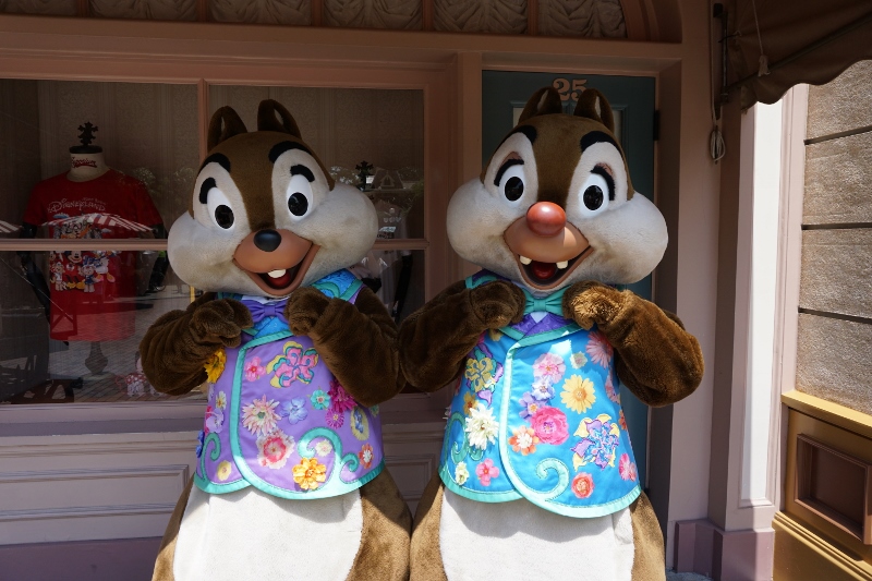 f:id:happiest_holidays:20180605165446j:plain f:id:happiest_holidays:20180605165446j:plain