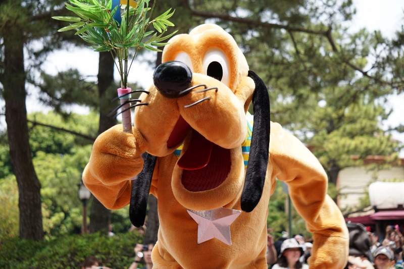 f:id:happiest_holidays:20180611231648j:plain f:id:happiest_holidays:20180611231648j:plain