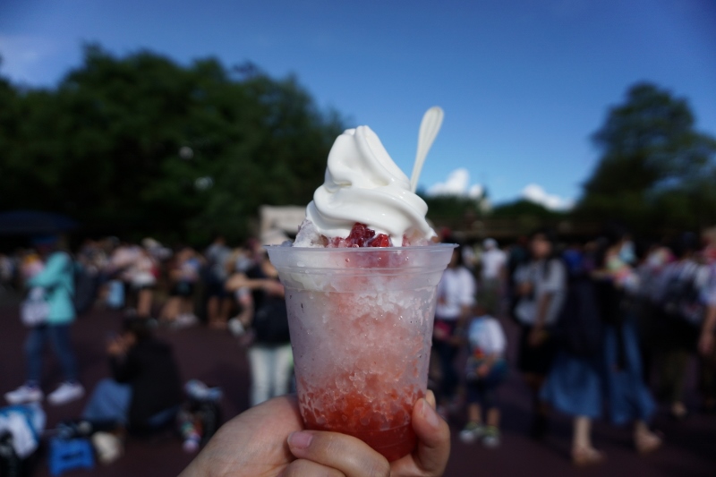 f:id:happiest_holidays:20180710022351j:plain