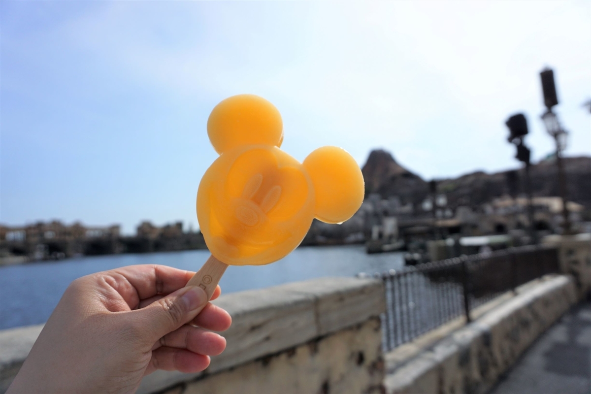 f:id:happiest_holidays:20190505215759j:plain f:id:happiest_holidays:20190505215759j:plain