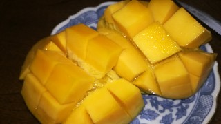 f:id:happimone-room:20190708213531j:image f:id:happimone-room:20190708213531j:image