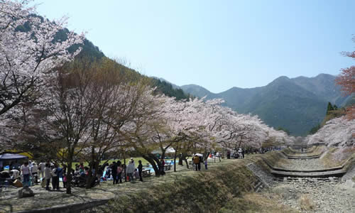 f:id:happiness-id107229:20180219213421j:plain