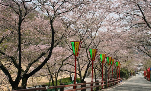 f:id:happiness-id107229:20180219214319j:plain