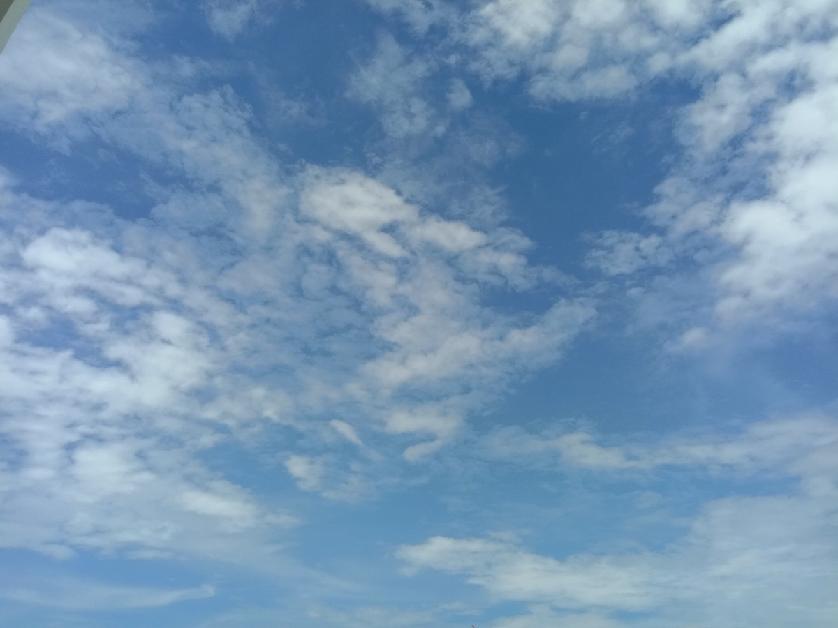 f:id:happinessthree:20200816210831j:plain