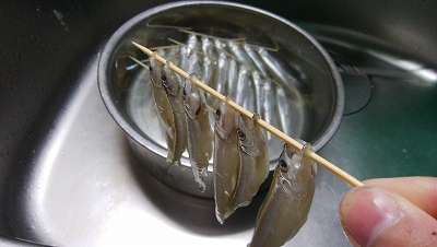 f:id:happousyumi:20190604170632j:plain