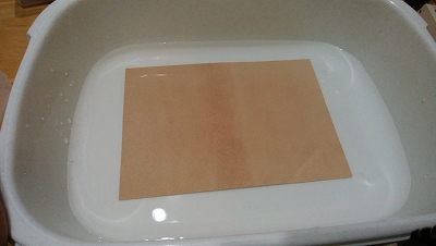 f:id:happousyumi:20191019233247j:plain f:id:happousyumi:20191019233247j:plain