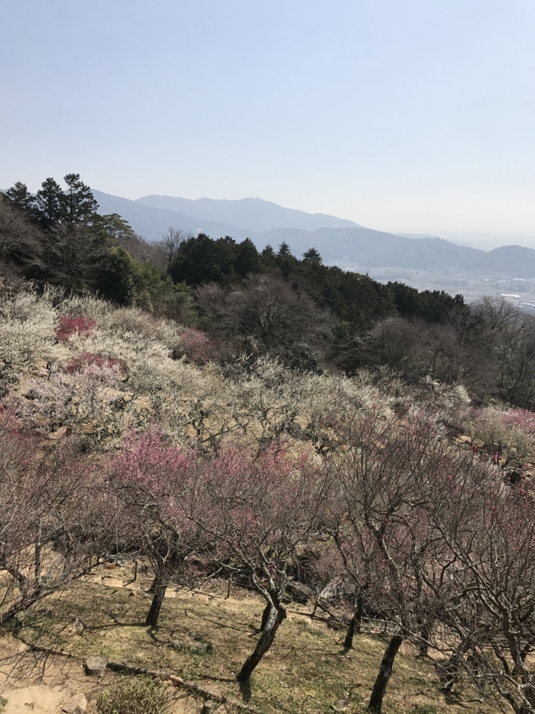 f:id:happoyame:20180324120527j:plain
