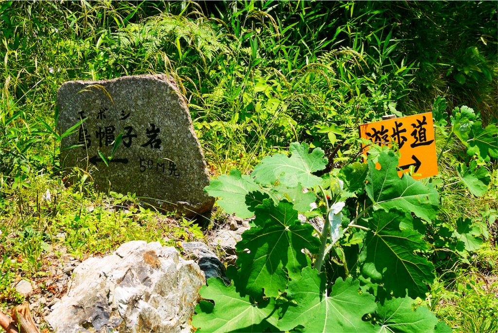 f:id:happy-_-maichin:20170530195311j:image f:id:happy-_-maichin:20170530195311j:image