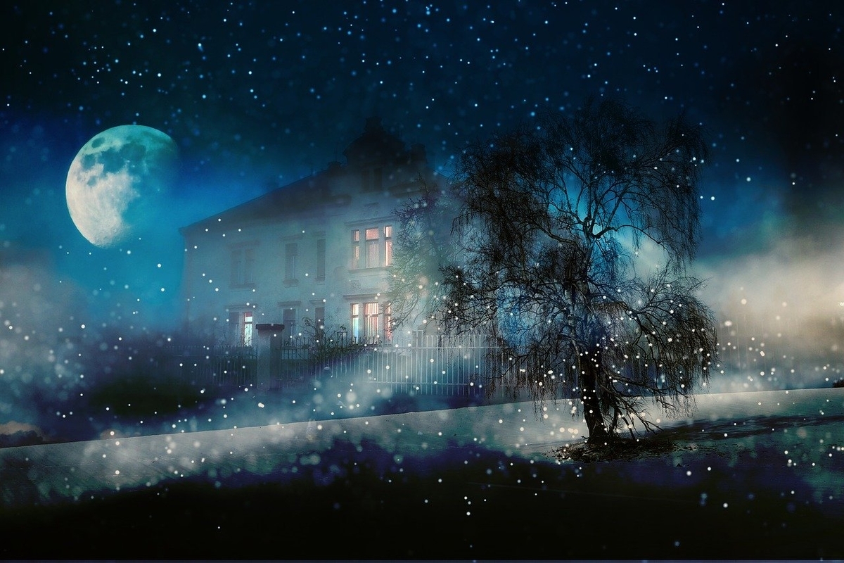 f:id:happy-alpaca:20200916085330j:plain f:id:happy-alpaca:20200916085330j:plain