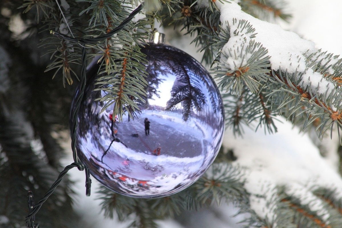 f:id:happy-alpaca:20201110071952j:plain