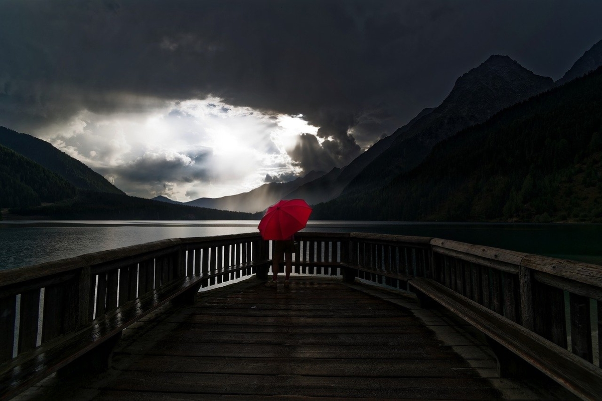 f:id:happy-alpaca:20210609074946j:plain