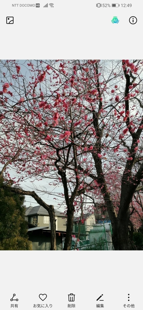 f:id:happy-applications-maker:20190211154609j:plain f:id:happy-applications-maker:20190211154609j:plain