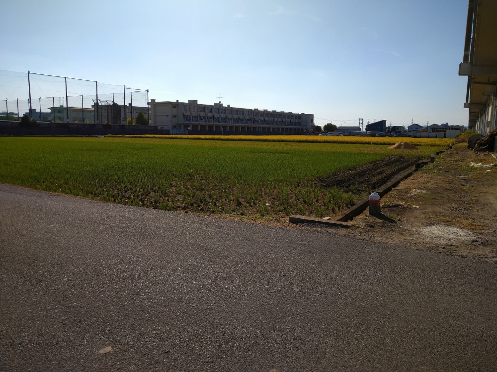f:id:happy-applications-maker:20191102194007j:plain f:id:happy-applications-maker:20191102194007j:plain