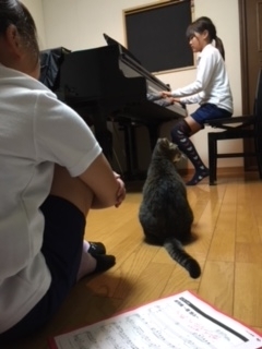 f:id:happy-kids:20171016191455j:image