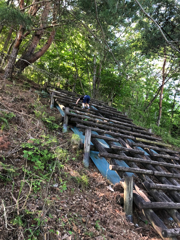 f:id:happy-net:20200617135908j:image f:id:happy-net:20200617135908j:image