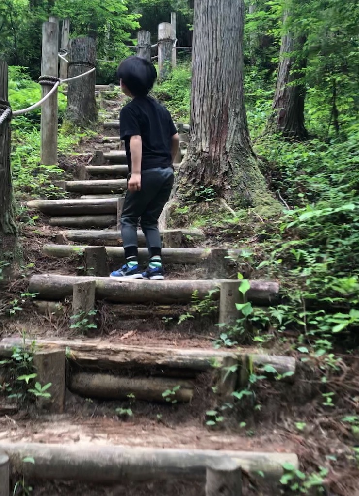 f:id:happy-net:20200617140317j:image f:id:happy-net:20200617140317j:image