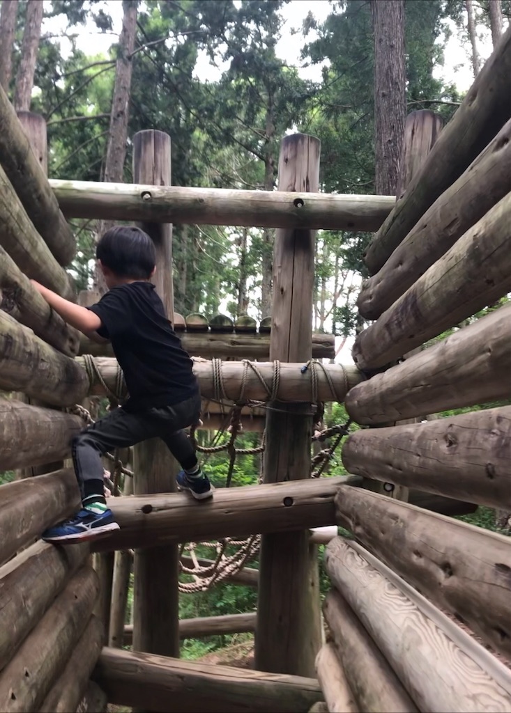 f:id:happy-net:20200617140321j:image f:id:happy-net:20200617140321j:image