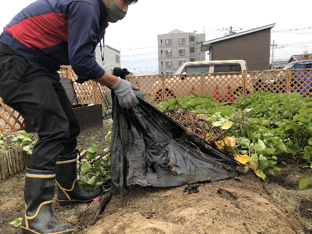 f:id:happy-net:20201103155939j:plain f:id:happy-net:20201103155939j:plain