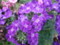 20100611181742