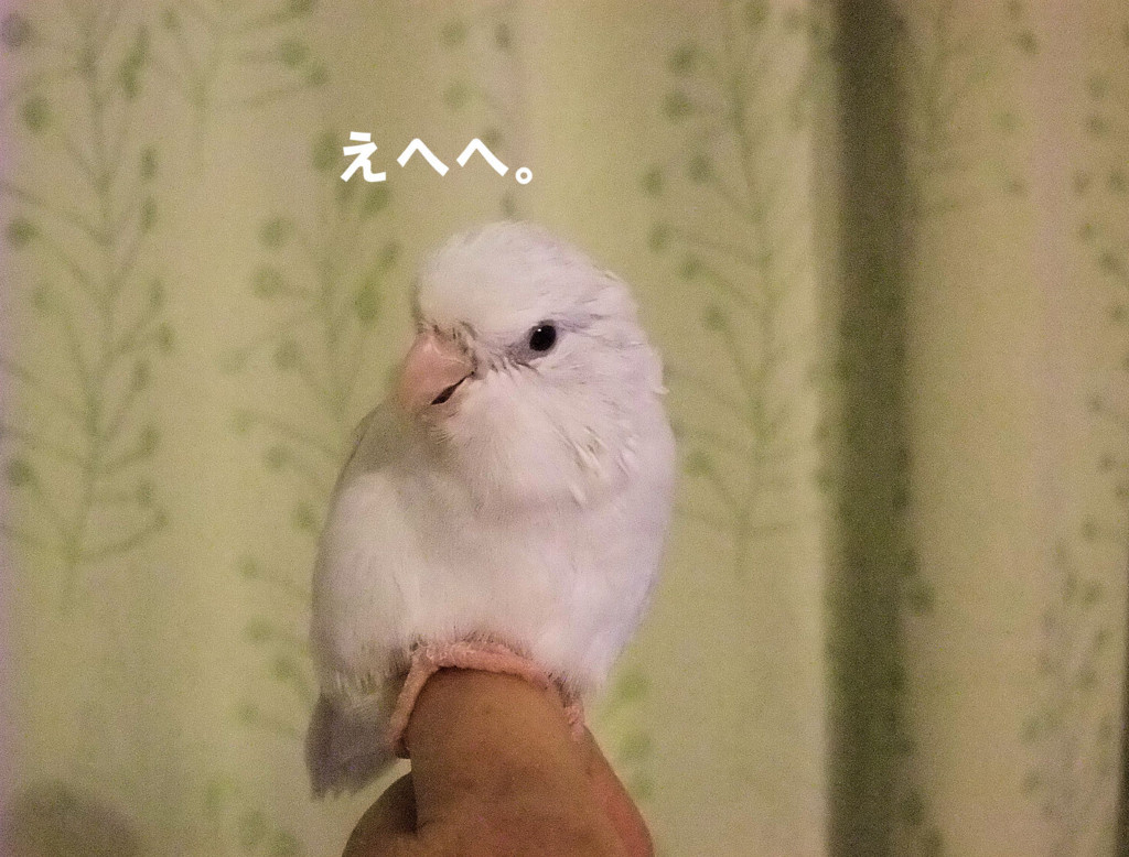 f:id:happy-ok3:20160624175104j:plain