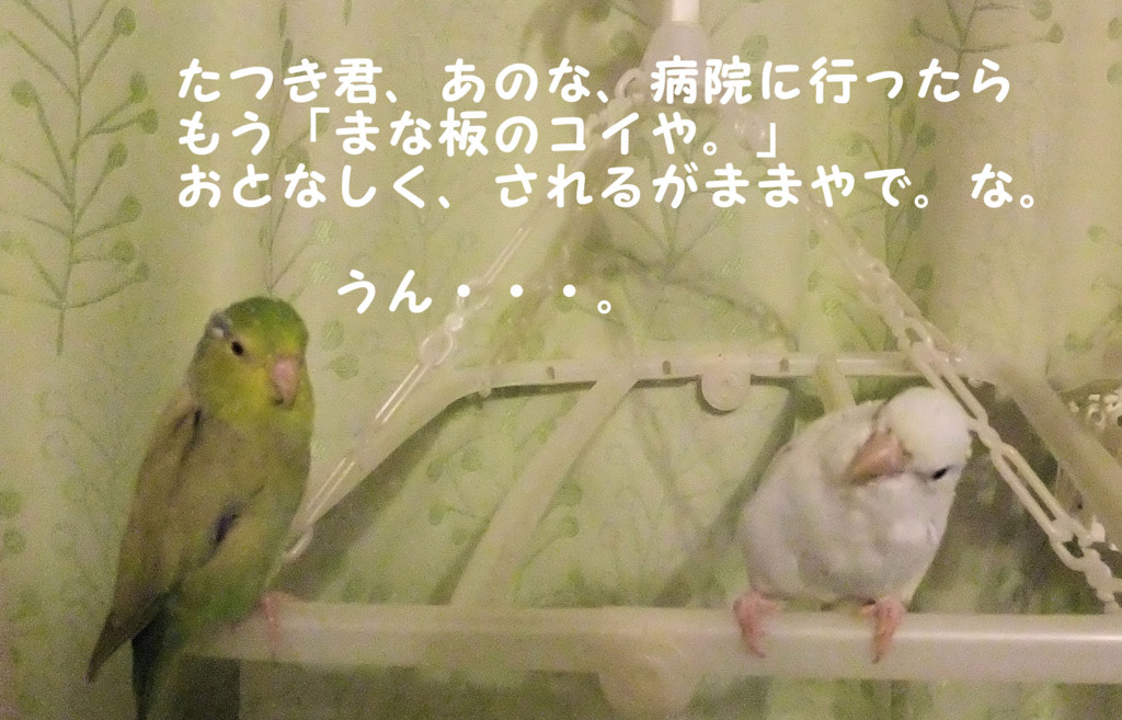 f:id:happy-ok3:20160814174955j:plain