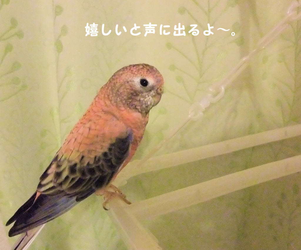 f:id:happy-ok3:20160825171134j:plain