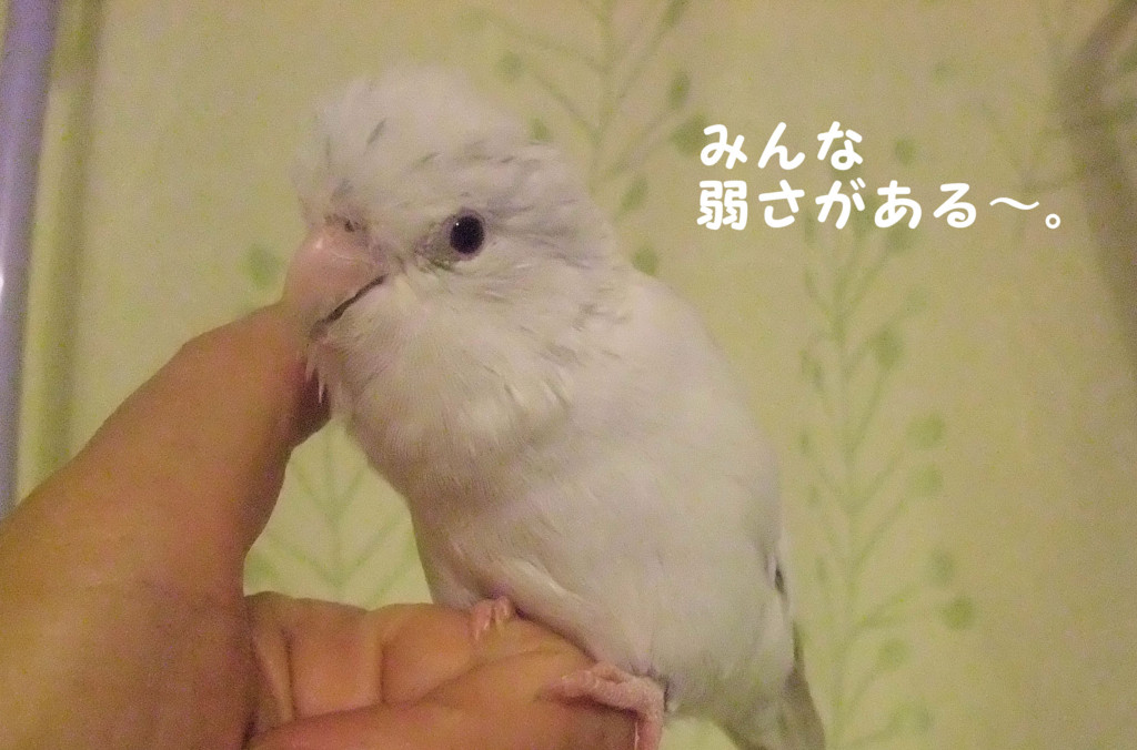 f:id:happy-ok3:20160831180732j:plain