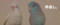 20170105222506