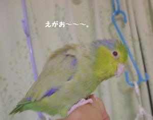 f:id:happy-ok3:20171111003049j:image:w360 f:id:happy-ok3:20171111003049j:image:w360