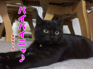 f:id:happy-ok3:20171230001145j:image:w360 f:id:happy-ok3:20171230001145j:image:w360