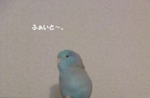 f:id:happy-ok3:20180110011445j:image:w360 f:id:happy-ok3:20180110011445j:image:w360