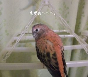 f:id:happy-ok3:20180118003613j:image:w360 f:id:happy-ok3:20180118003613j:image:w360