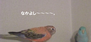 f:id:happy-ok3:20180118003818j:image:w360 f:id:happy-ok3:20180118003818j:image:w360