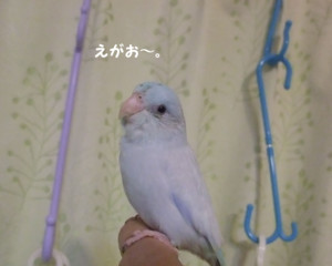 f:id:happy-ok3:20180118003851j:image:w360 f:id:happy-ok3:20180118003851j:image:w360