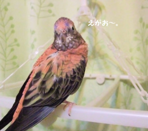 f:id:happy-ok3:20180129010845j:image:w360 f:id:happy-ok3:20180129010845j:image:w360