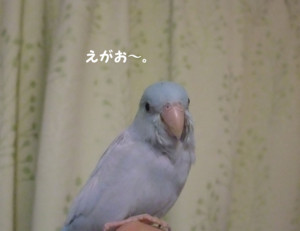 f:id:happy-ok3:20180129011040j:image:w360 f:id:happy-ok3:20180129011040j:image:w360