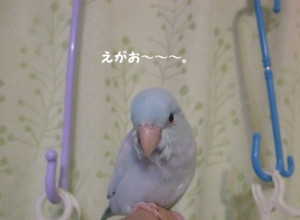 f:id:happy-ok3:20180130002156j:image:w360