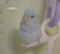 20180221010116