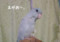 20180414004430