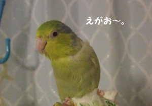 f:id:happy-ok3:20180707004144j:image:w360