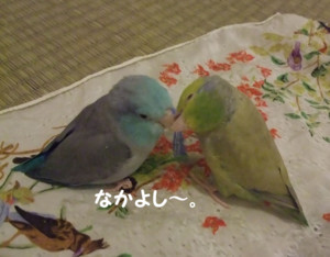 20180721002722