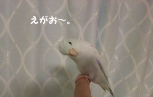 f:id:happy-ok3:20180810002019j:image:w360 f:id:happy-ok3:20180810002019j:image:w360