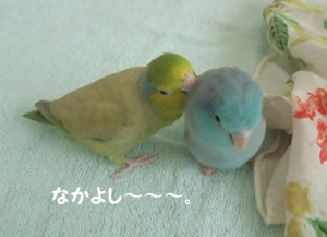 f:id:happy-ok3:20180810002121j:image:w360 f:id:happy-ok3:20180810002121j:image:w360