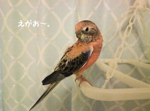 f:id:happy-ok3:20180910002146j:image:w360 f:id:happy-ok3:20180910002146j:image:w360