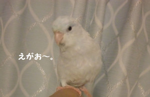 f:id:happy-ok3:20180910002212j:image:w360 f:id:happy-ok3:20180910002212j:image:w360