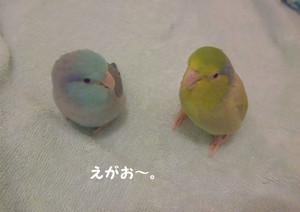 f:id:happy-ok3:20180910002240j:image:w360 f:id:happy-ok3:20180910002240j:image:w360