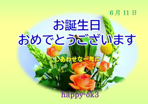 f:id:happy-ok3:20210611035356j:plain
