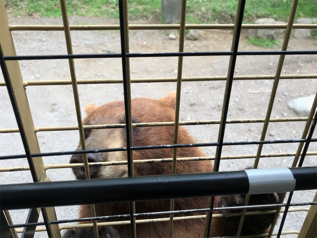 f:id:happy-rice-factory:20190516170917j:image f:id:happy-rice-factory:20190516170917j:image