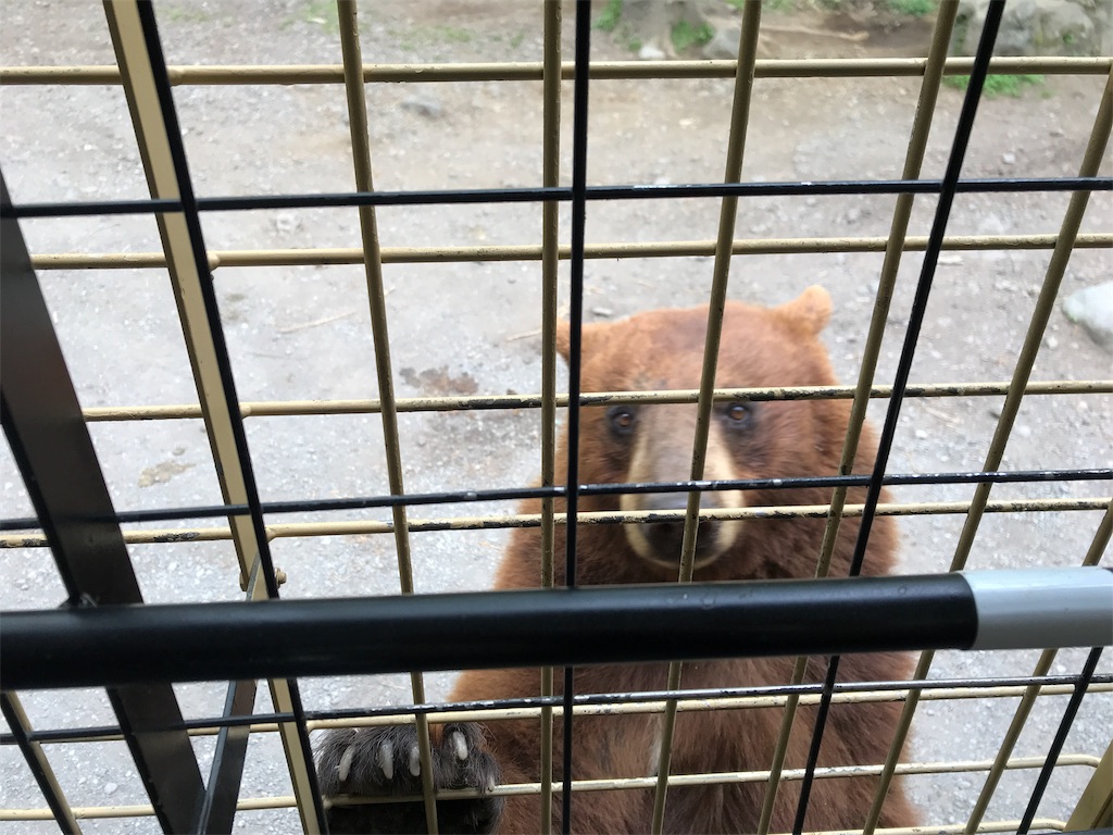 f:id:happy-rice-factory:20190516170923j:image f:id:happy-rice-factory:20190516170923j:image